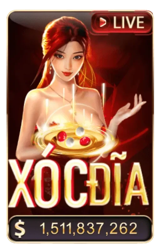 covor xóc đĩa