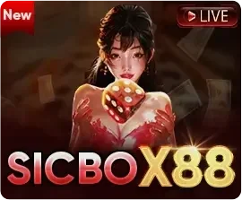cover sicbo